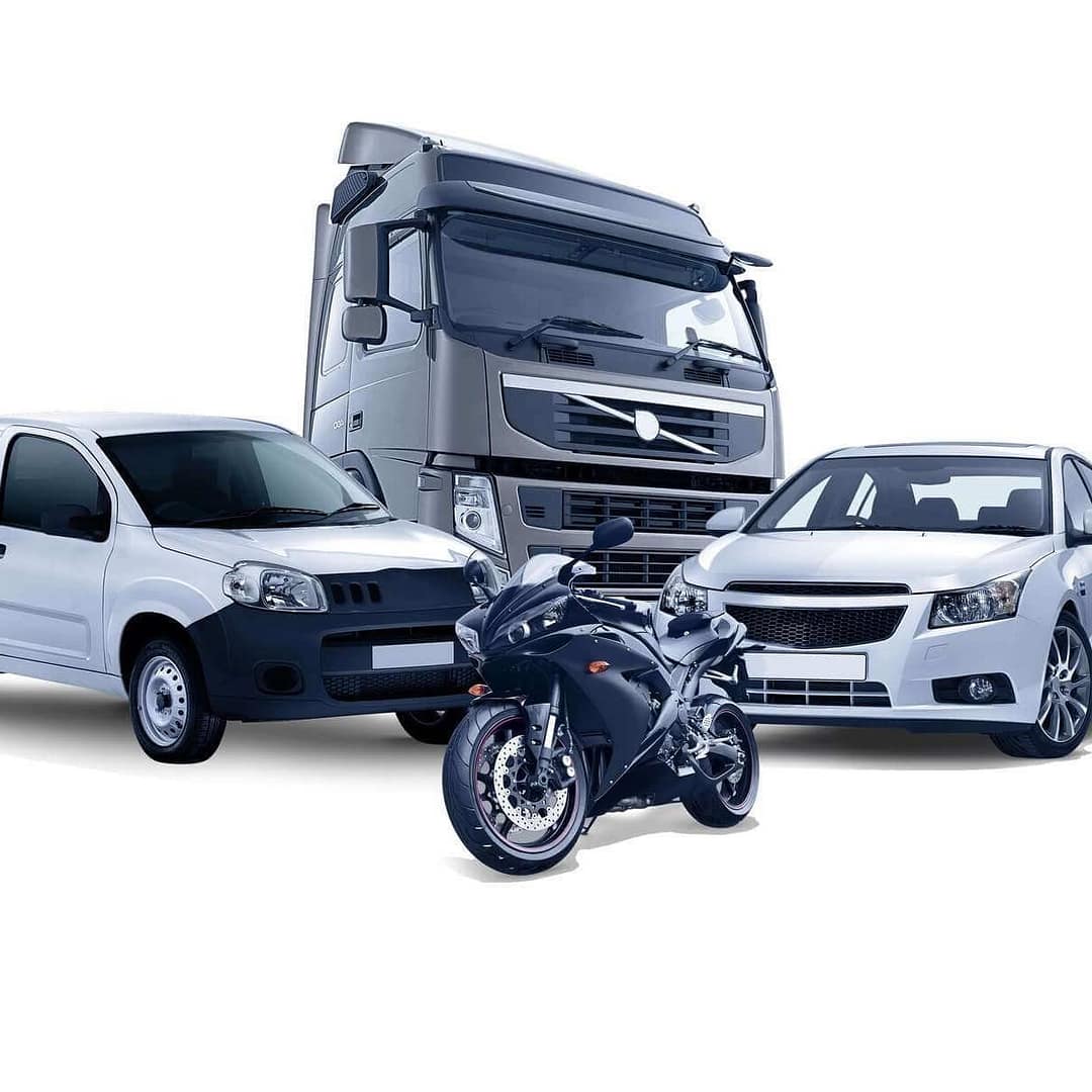 autoführerschein kosten 2024